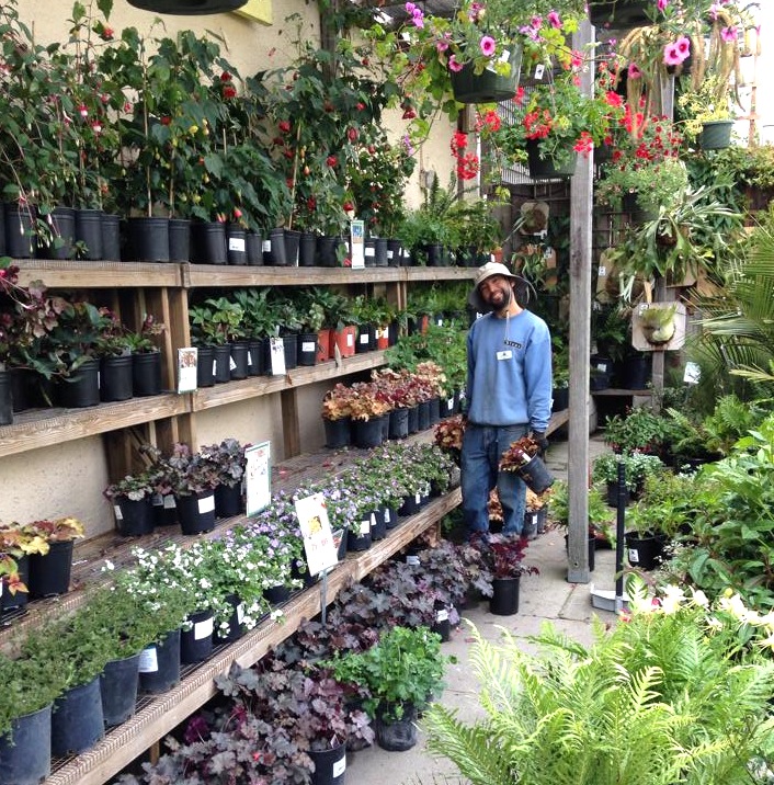 Man working with plants