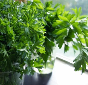 parsely