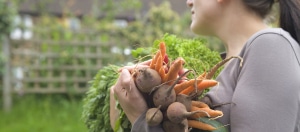Garden Education Weekend, Sloat Blvd SF: 1/16 – 1/19