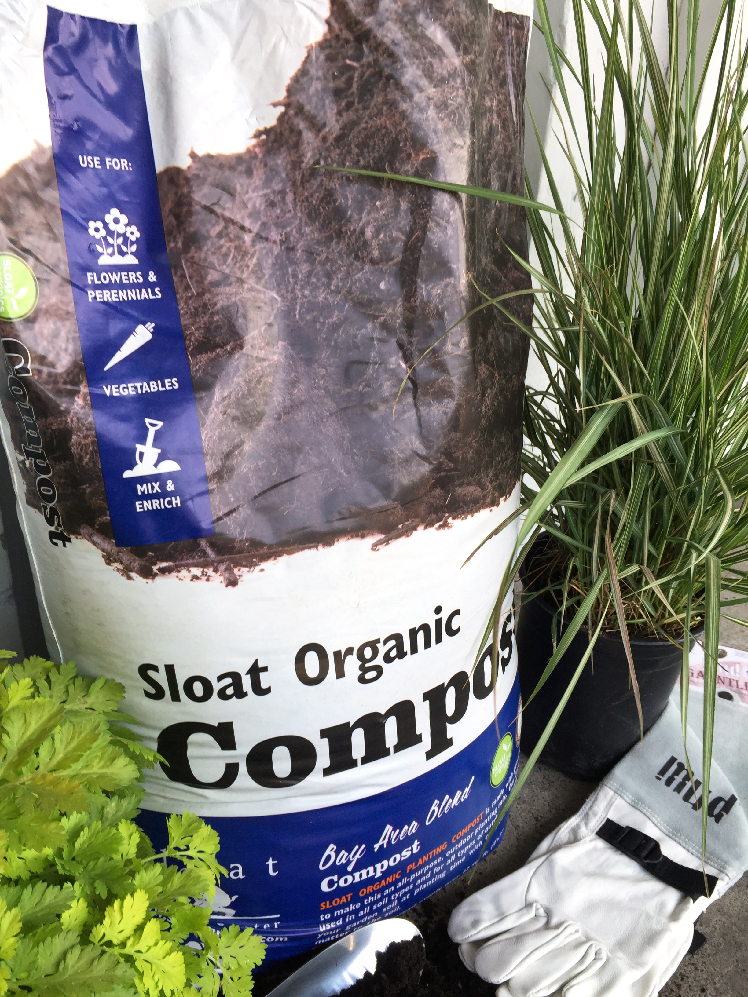 Sloat Compost