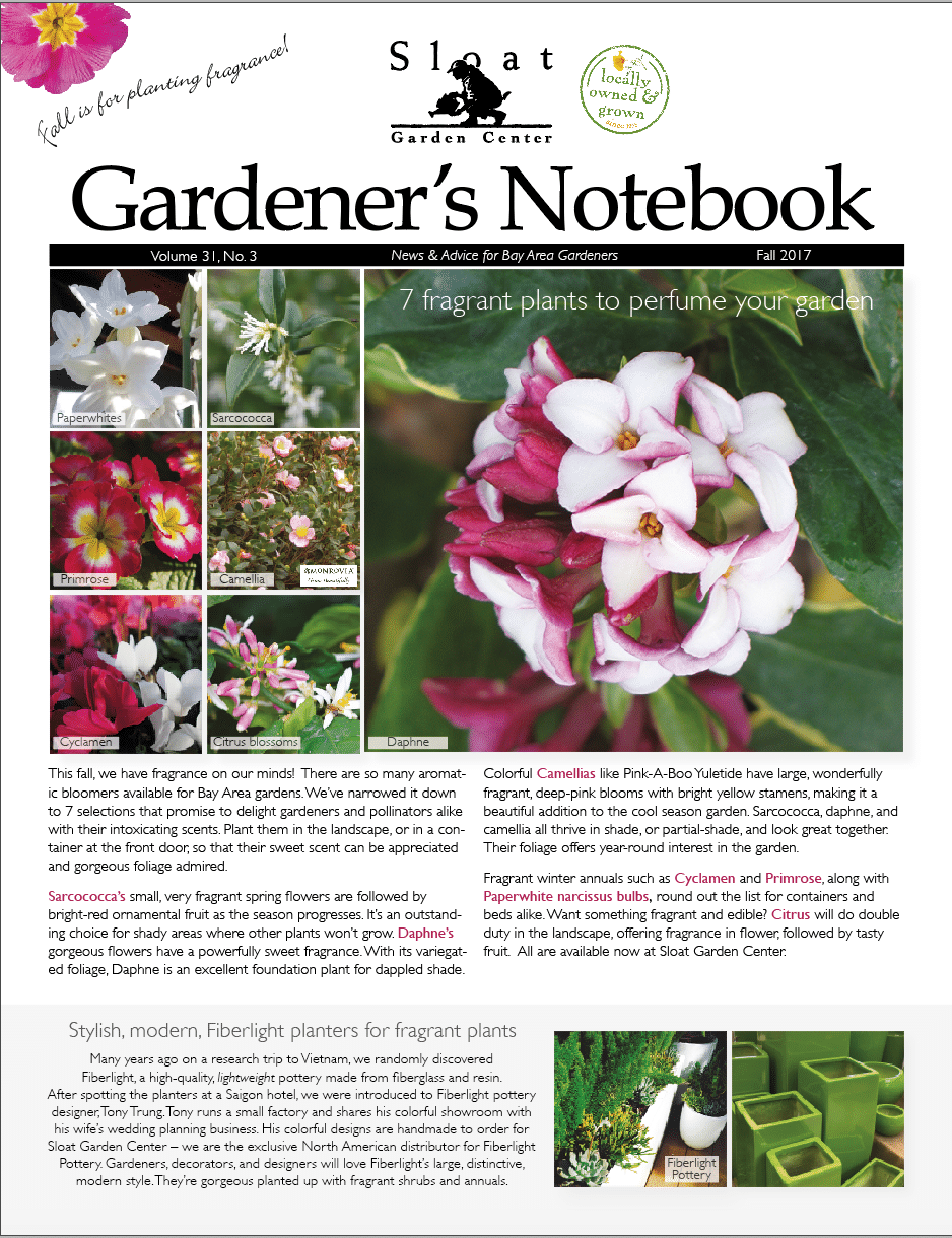 - lab 4 a: linux file systems Images High Quality... Fall Gardener’s Notebook, Vol. 31, No. 3 | Sloat Garden Center