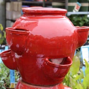 Strawberry Jar: Red