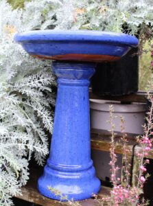 Birdbath: Blue