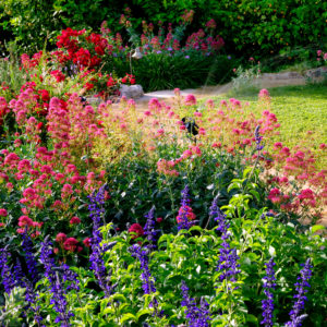 garden scene border lg shutterstock