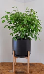 Black Matte Cylinder
