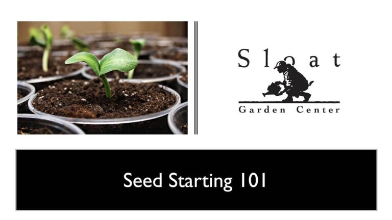 seed starting 101