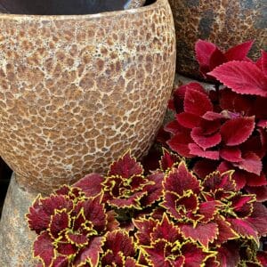 Bubble Glaze Rust